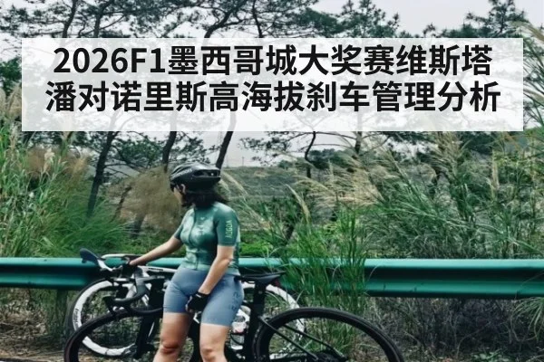 2026F1墨西哥城大奖赛维斯塔潘对诺里斯高海拔刹车管理分析