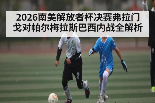 2026南美解放者杯决赛弗拉门戈对帕尔梅拉斯巴西内战全解析